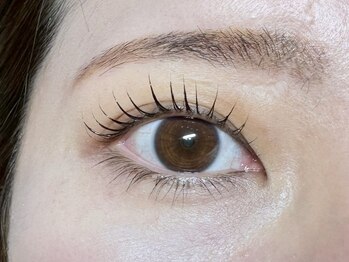 アンジェリカミッシェル 大阪ベイタワー店/パリジェンヌラッシュリフト