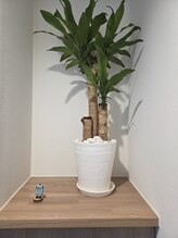 ムラサキ鍼灸治療院(MURASAKI鍼灸治療院)/玄関にはフクロウ