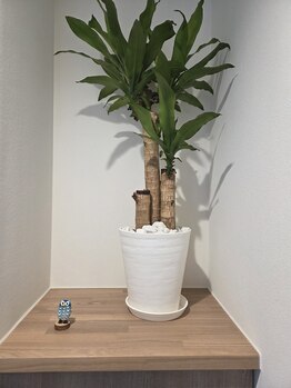 ムラサキ鍼灸治療院(MURASAKI鍼灸治療院)/玄関にはフクロウ