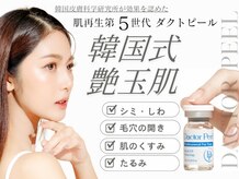 カシェット(Cachette.)