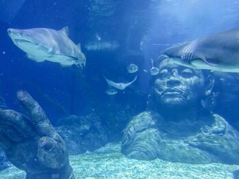 アジアンリラクゼーション ヴィラ 大橋店(asian relaxation villa)/タイの水族館 水槽の中に仏像が!