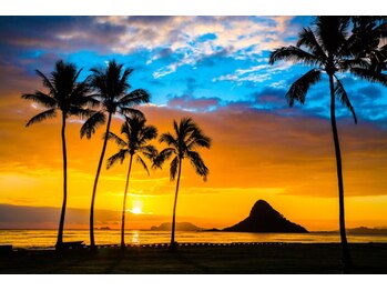 ハワイアンフォレストスパ 上大岡店/よくある質問1