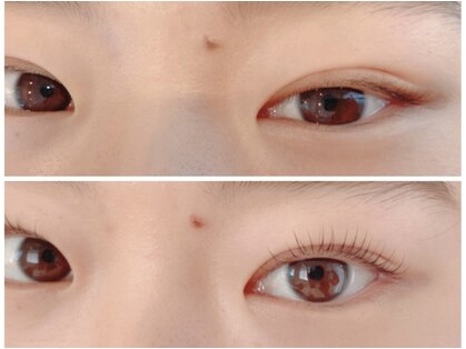 リノ(Lino)の写真