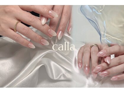 カラー(calla)の写真