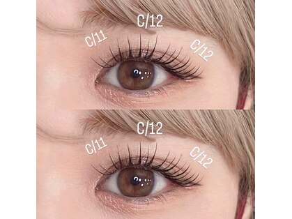 エルビリア(ELVIREA)の写真