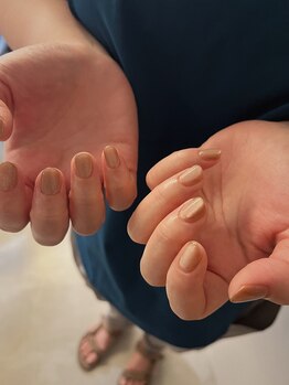 ロマ(LOMA)/マグネット