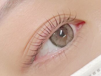 イナ(ina)の写真/まゆげ&まつげセットで一気に垢抜け★