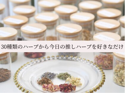 ミノリ(MINORI)の写真