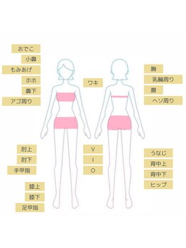 ブルー(BLEU)/女性◆全身(顔込・VIO込)