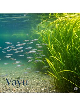 ヴァーユ(Vayu)/時々いろいろな割引クーポンが