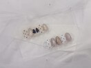 定額デザイン