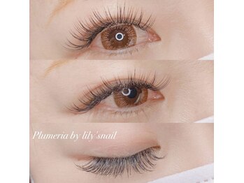 プルメリア バイ リリーズ ネイル(Plumeria By Lily's Nail)/シングルエクステ付け放題 ¥5980