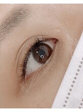 トキ(Toki)/フラットラッシュ　120本