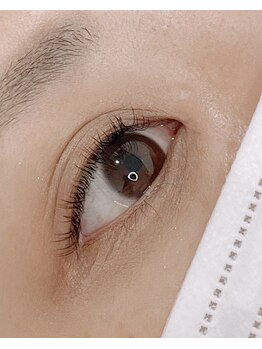 トキ(Toki)/フラットラッシュ 120本