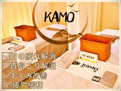 カモ カンフー猫 日本橋店(kamo)の写真