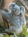 カリタ奈良&nbsp;動物に癒されています。特にコアラが好きで全国に会いに行きます