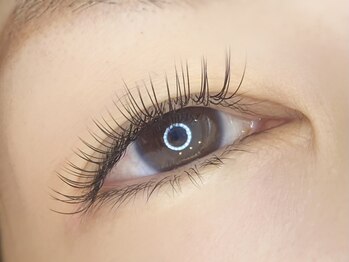 リノ(Lino)/フラットラッシュ