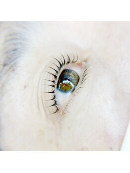 マリヤ(Mariya)/まつ毛パーマ