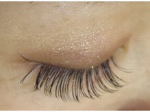 マリー エクラン/ダブルフラット１６０本・80束