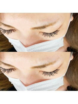 アグライア(Aglaia)/perfectlash220本