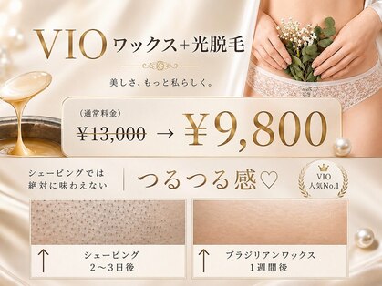 ミモザ(MIMOZA)の写真