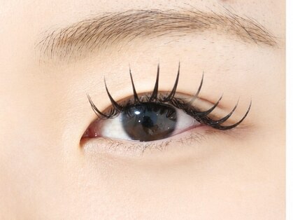 アイラッシュマルヴァ(Eye Lash Malva)の写真