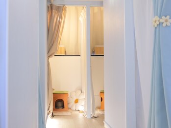 ラビットハンド(Rabbit hand)/店内