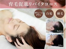 イーズ/リバイタ グランツリー武蔵小杉店