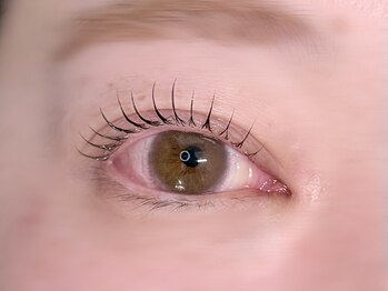 キト(QUITO)/まつげパーマ