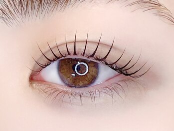 アイタス ココモ(aitas kokomo)/韓国式まつげパーマ