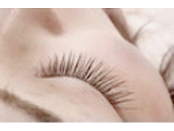 トウカ 船橋店(TOUKA)/フラットラッシュ120本/マツエク