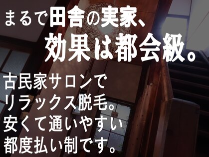 ジョリージョリー(jolie jolie)の写真