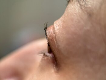 ハウオリ 高津 溝の口(Hauoli)/ラッシュリフト/まつ毛パーマ