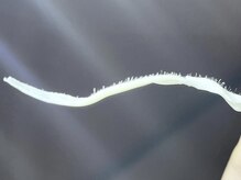 ラニブロウ(Lani brow)/何にいいの？★