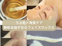 エルドットサナ(L.sana)