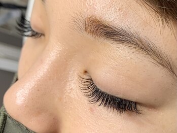 ネスト(Nest)/フラットラッシュ180本/Cカール