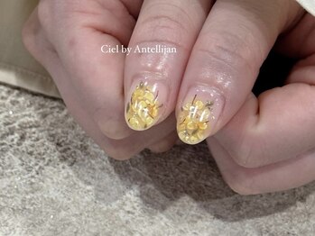 シエル バイ アンテリジャン(Ciel By Antellijan)/ミモザネイル