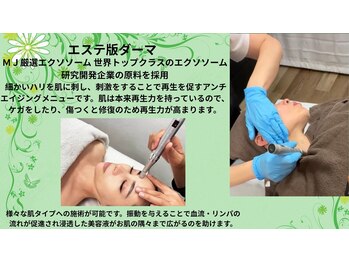 エムジェイ美ボディー(MJ美Body)/【エステ版ソフトダーマ】