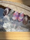 ニュアンスピーコックネイル