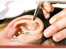 ミュー/ダイエットに効果的なツボ