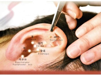 ミュー/ダイエットに効果的なツボ