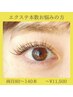 【エクステ】本数お悩みの方80~140本(両目)