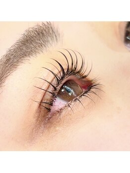 リンク(Link)/カールが選べるラッシュリフト