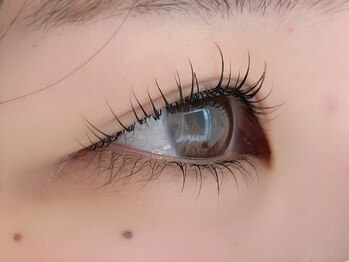 アンシル(ANCIL)/まつげパーマ 60分 ¥3780