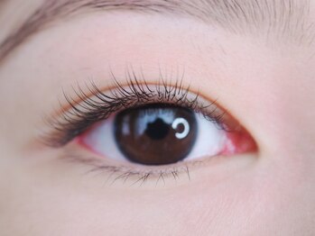 マイレリーフ(Maile leaf)/