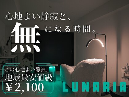 ルナ(Lunaria)の写真