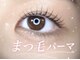 プティット シュシュ(Petit Chouchou)の写真/【パリジェンヌ】【バービー】大人女性のナチュラル上品まつげで、ぱっちり印象へ！洗練された目元を演出♪