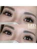 【ボリューム重視】LEDフラットラッシュつけ放題