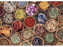 ロータスツリー(LOTUS TREE)/