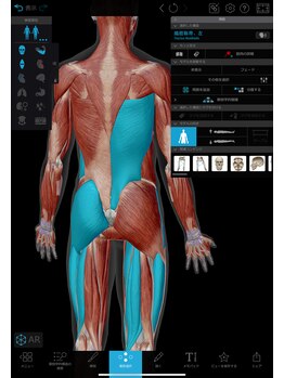 整体ハヤシダ 南流山店(HAYASHIDA)/細やかな状態確認!!